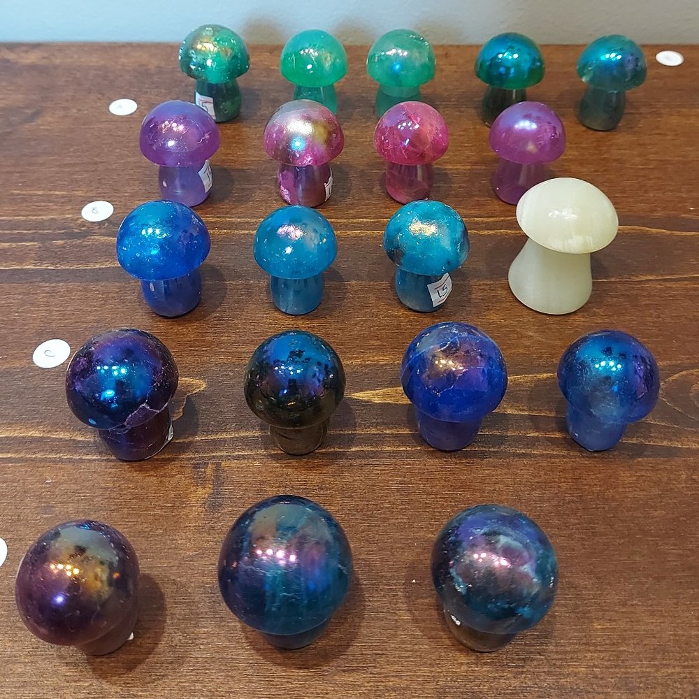 2/$10 Intuitively Selected Aura Dipped Large Mushrooms - Perfectly Imperfect
